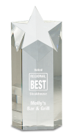 Large Crystal Star Column Award